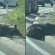 VIDEO: Povređeni medved ostavljen pored puta
