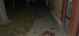 BR:(41) EKSKLUZIVNO 25.11.2024: Radović tvrdi – Sudija Vojnović „Pobegla iz predmeta“ nakon što je „razotkrio kriminalne radnje“! Novom sudiji Pecovskom postavljen ULTIMATUM: „Nema suđenja dok ne uhapsite saučesnike i ne vratite proces na početak!“