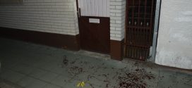 BR:(30) Radović traži odlaganje suđenja i smenu sudije Vojnović, optužujući je za korupciju i opstrukciju dokaza punih šest godina, 26.9.2024. Za ubistvo lopova u svojoj kući