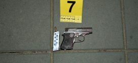 BR:(40) KLJUČNA PROMENA U SLUČAJU „RADOVIĆ“: 20.11.2024 Posle optužbi za korupciju, Sudija Pecovski preuzeo „LOŠE VOĐEN PREDMET“ – Radović odmah ponavlja ponudu od 600.000 evra za „nanogicu“!